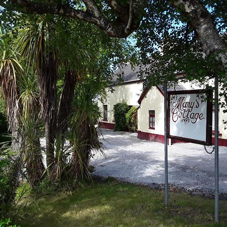 Mary'S Cottage Sneem Ngoại thất bức ảnh